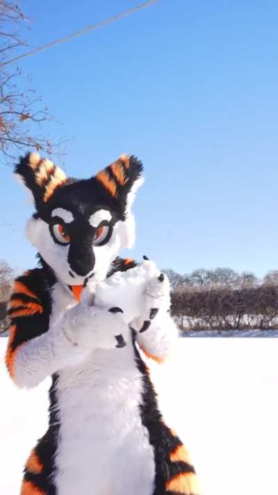 Texas "Snow" Day!! :&amp;gt;