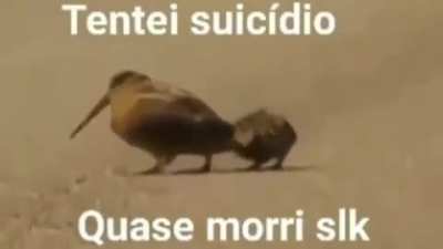 Quase morri mano kjkkkj