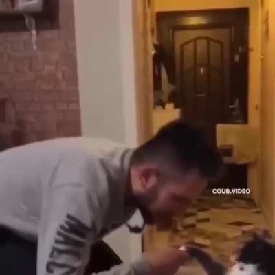 Don Catleone