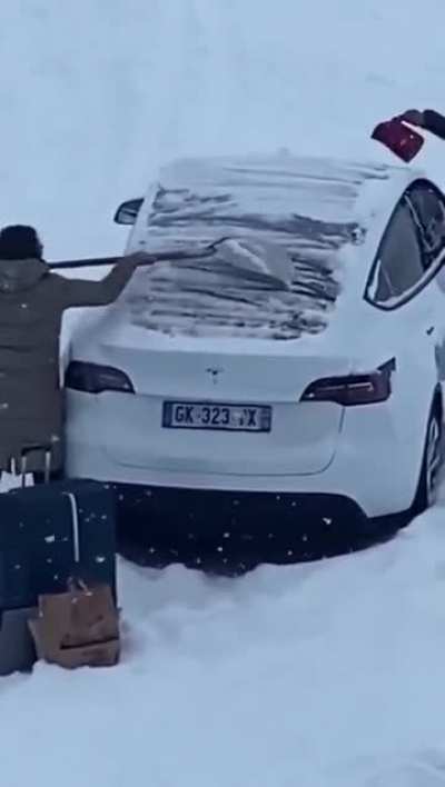 Tesla k&auml;ufer in a Nutshell 