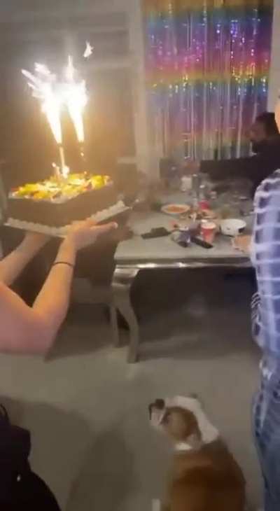 here goes my cake🤣