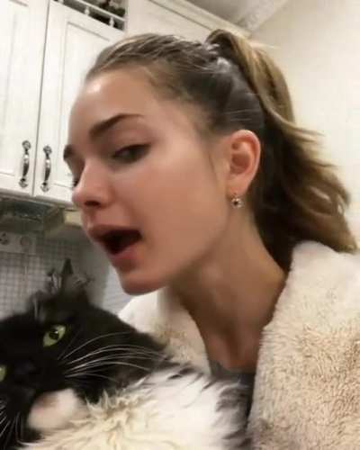 Котик