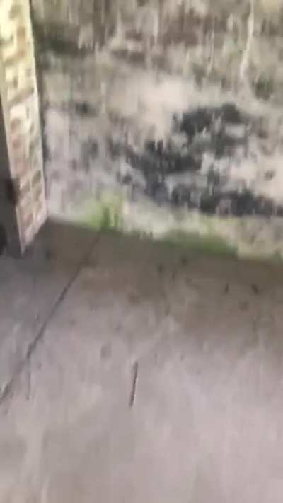 778
