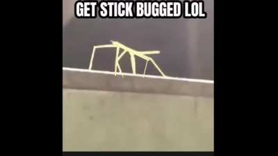 LOL gomey got stickbugged