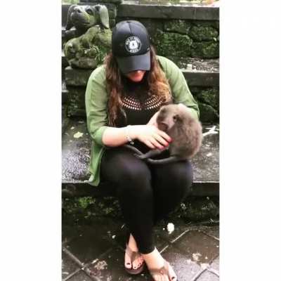 Lady chokes a monkey to pose for a photo and gets instantly attacked by its mother