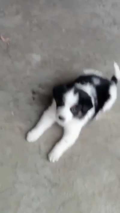 Play with me
