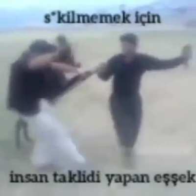insan taklidi yapan eşşek mi