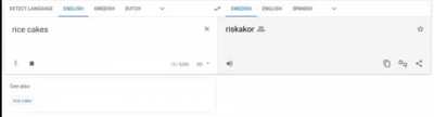 Bug with Google Translate TTS: What word is it saying instead of "riskakor"?