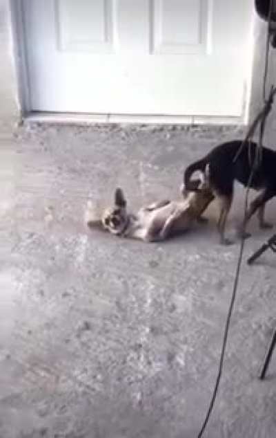 When breaking your foot off in someone's ass goes wrong