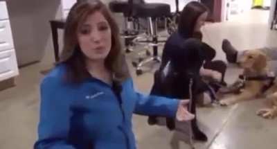 To shake hands