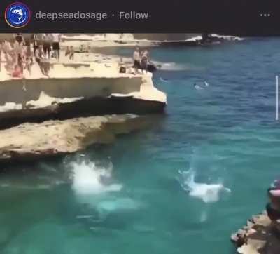 Dog Cliff Dives With Owner