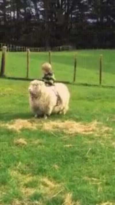 "Da fuck you doing bro"