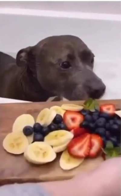 I want everything that this 🐕 doggo has