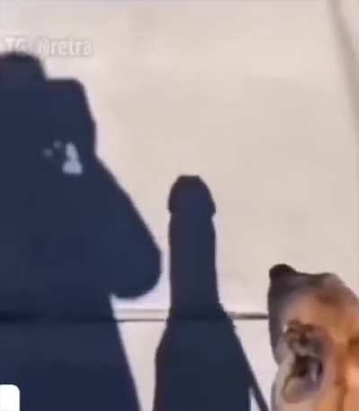 nothing to see here