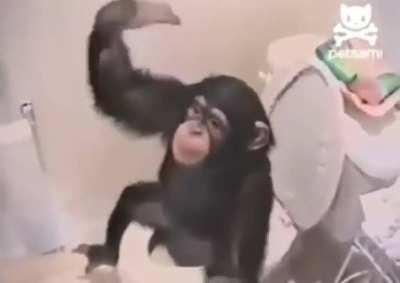 MONKE