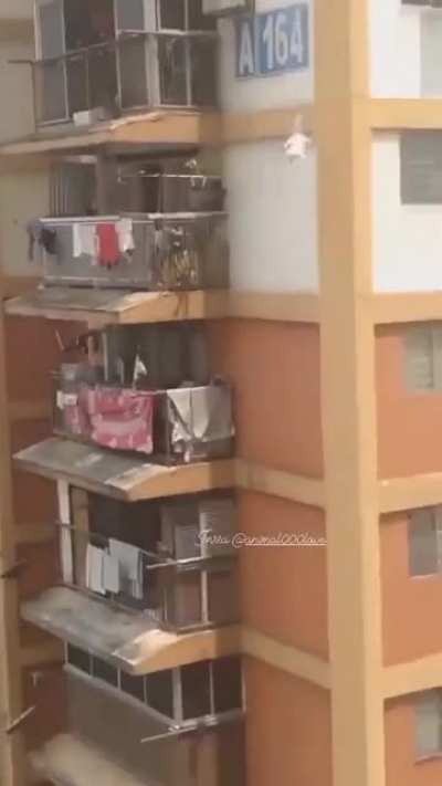 I can&rsquo;t believe someone would harm a cat like that