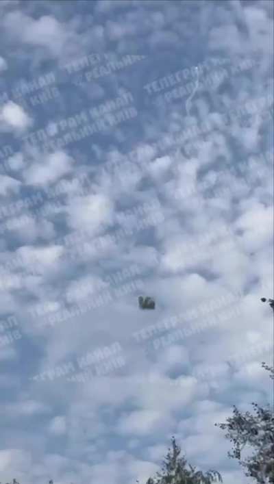 Interception of a Russian kamikaze drone, August 2024.
