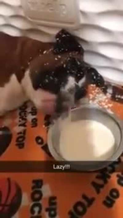 Just doesn&rsquo;t have the strength