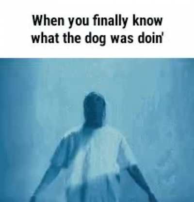 What the dog doin&rsquo;