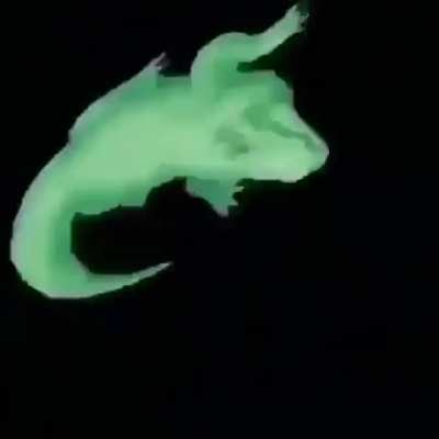 He spin