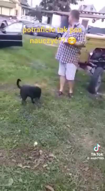 I did not expect that ending. Smartest dog ever 🎩