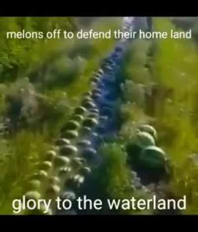 &Aacute;t&iacute;rjuk a zen&eacute;t magyarra valaha?