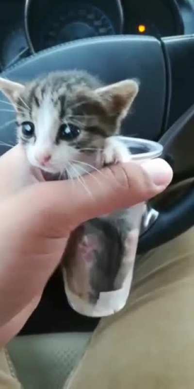 Cup sized
