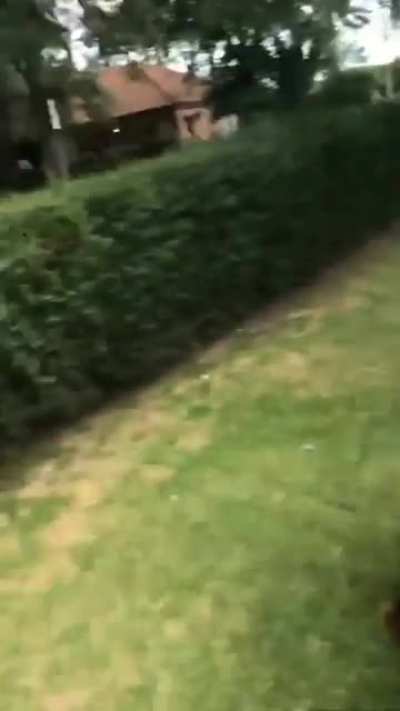 porque tantas preguntas