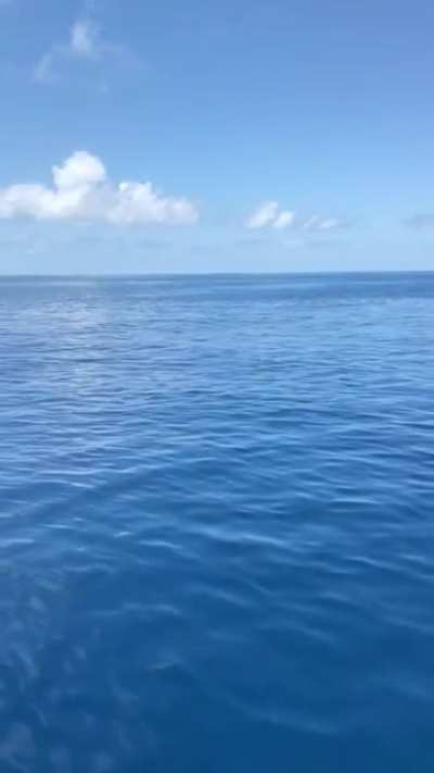 How deep do you go?