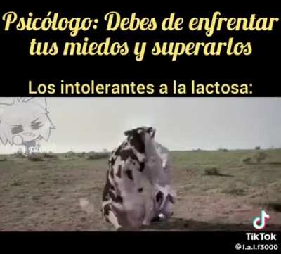 XD