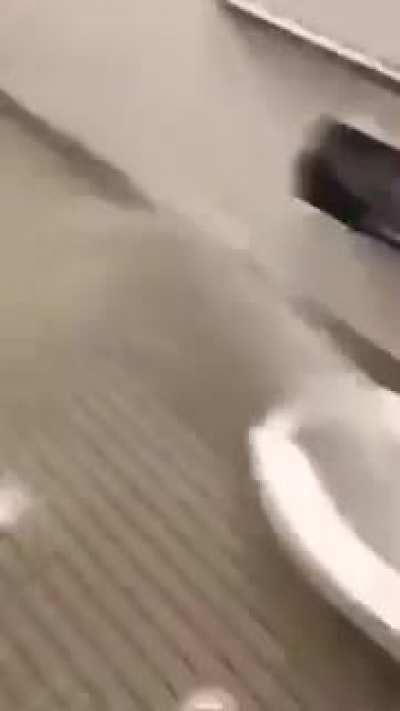 Бидэ