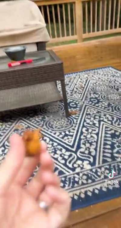 Can I have that?