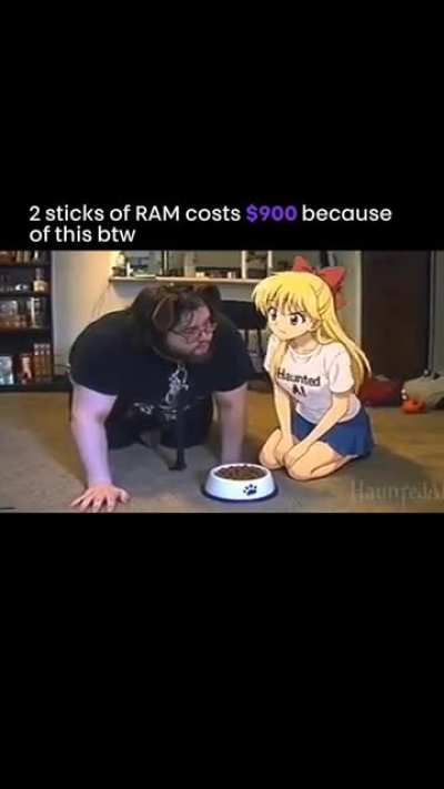 Good boi