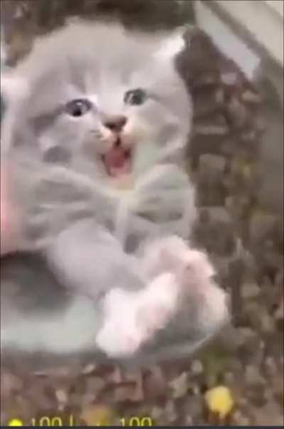 Aaaahhhh