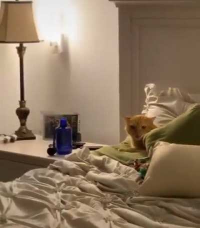 Leave the bed!