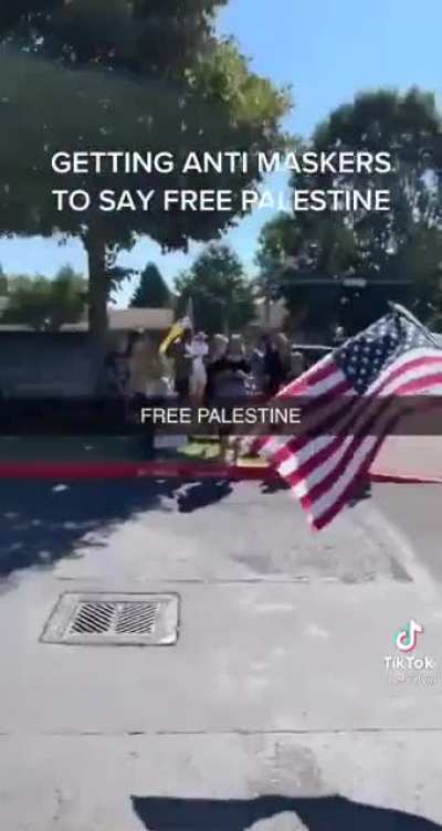 Best shit I&rsquo;ve seen all day