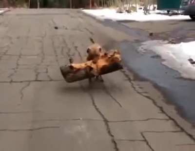 Him loves Log&trade;
