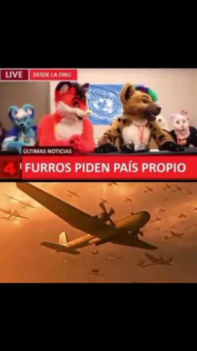 Xd