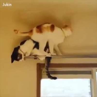 move move move