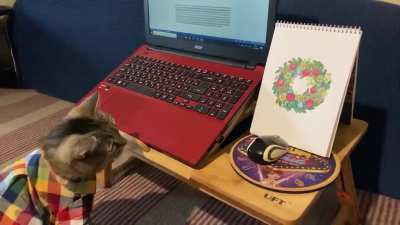 My cat congratulates you on the upcoming Christmas and asks you to take a break and celebrate!