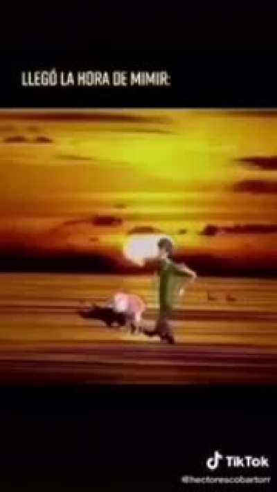 XD gru