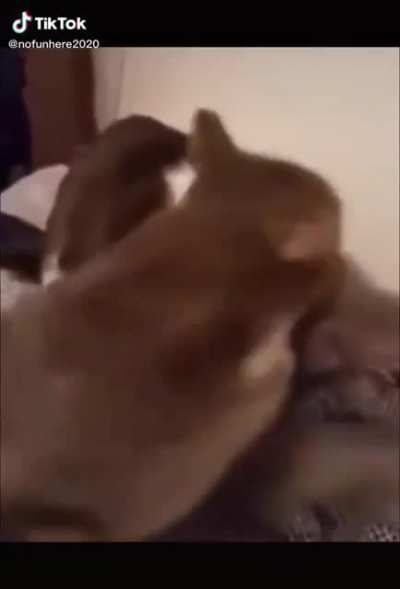 AH!