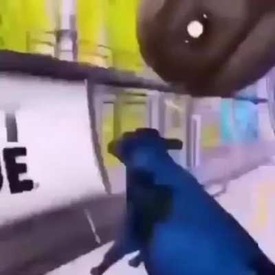 now this is pretty epic