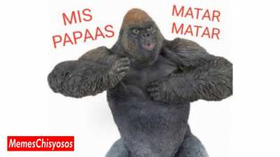 monke meme