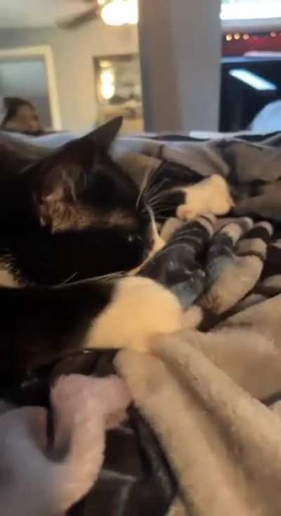 Learning to make biscuits from an expert