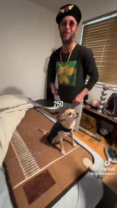$8000/mo rent in Venice Beach - Dog Bless you all.