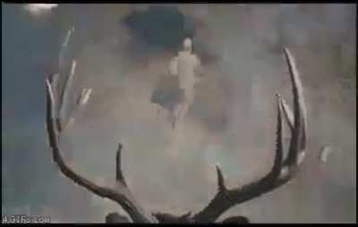 missile moose