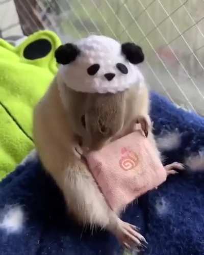 Lil&rsquo; grabbies eating lil&rsquo; carrots in a lil&rsquo; bag.