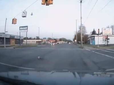 Fuck you bird