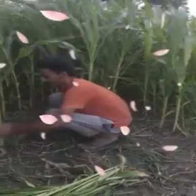 مثير